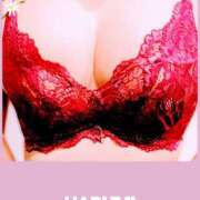 ヒメ日記 2025/09/08 21:48 投稿 野村　晴美 ミセス・レヴォアール～再会～