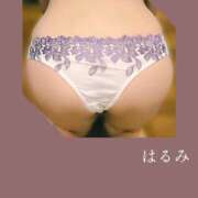 ヒメ日記 2025/09/17 06:08 投稿 野村　晴美 ミセス・レヴォアール～再会～