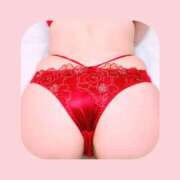 ヒメ日記 2025/11/11 18:58 投稿 野村　晴美 ミセス・レヴォアール～再会～