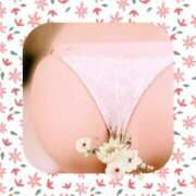 ヒメ日記 2025/11/21 17:50 投稿 野村　晴美 ミセス・レヴォアール～再会～