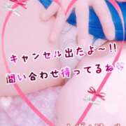 ヒメ日記 2025/10/12 10:58 投稿 香山　玲子 ミセス・レヴォアール～再会～