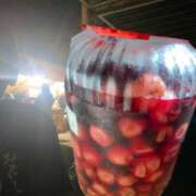 ヒメ日記 2025/08/30 09:21 投稿 チカ ミセスClub