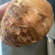 ヒメ日記 2025/11/24 08:29 投稿 チカ ミセスClub