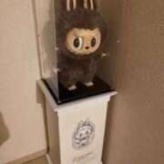 ヒメ日記 2025/11/25 11:14 投稿 チカ ミセスClub