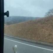 ヒメ日記 2025/12/26 08:53 投稿 チカ ミセスClub