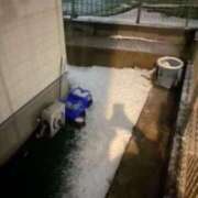 ヒメ日記 2026/01/02 19:11 投稿 チカ ミセスClub