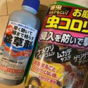 ヒメ日記 2026/03/31 17:12 投稿 チカ ミセスClub