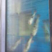 ヒメ日記 2025/07/23 09:52 投稿 ヒナ ミセスClub