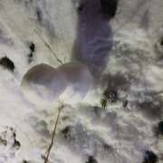 ヒメ日記 2026/02/09 09:58 投稿 ヒナ ミセスClub