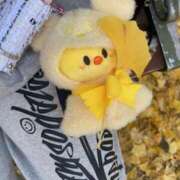 ユズ かぜつよっ ミセスClub