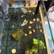 ヒメ日記 2025/09/16 08:39 投稿 ユア ミセスClub