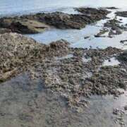 ヒメ日記 2025/09/17 08:42 投稿 ユア ミセスClub