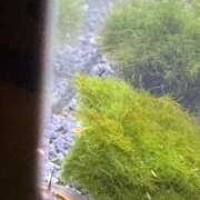 ヒメ日記 2025/10/18 08:06 投稿 ユア ミセスClub