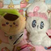 ヒメ日記 2025/11/15 08:40 投稿 ユア ミセスClub