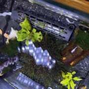 ヒメ日記 2025/12/23 00:10 投稿 ユア ミセスClub