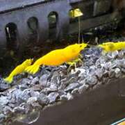 ヒメ日記 2026/03/22 09:00 投稿 ユア ミセスClub