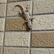 ヒメ日記 2026/03/31 09:18 投稿 ユア ミセスClub