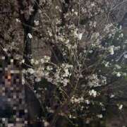 ヒメ日記 2026/04/01 01:45 投稿 ユア ミセスClub