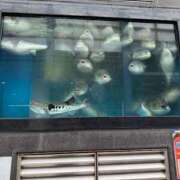 ヒメ日記 2026/04/11 09:37 投稿 ユア ミセスClub