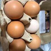 ヒメ日記 2026/04/12 10:11 投稿 ユア ミセスClub