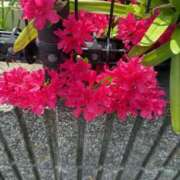 ヒメ日記 2026/04/13 21:31 投稿 ユア ミセスClub