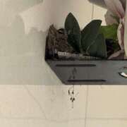 ヒメ日記 2026/05/27 08:53 投稿 ユア ミセスClub