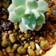 ヒメ日記 2025/08/19 07:43 投稿 麻美ゆきな 華女 第二章