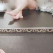 ヒメ日記 2025/12/19 10:04 投稿 麻美ゆきな 華女 第二章