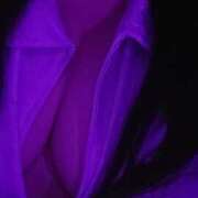 ヒメ日記 2025/06/29 20:39 投稿 さおり S-GALAXY