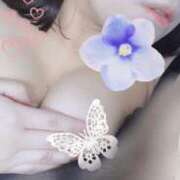 ヒメ日記 2025/10/08 09:52 投稿 秀島 宏美 人妻セレブ宮殿