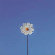 ヒメ日記 2025/07/29 14:47 投稿 えるま 全裸のいいなり美女OR満員ちかん電車