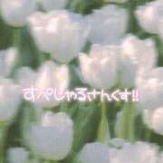 ヒメ日記 2025/08/03 17:47 投稿 えるま 全裸のいいなり美女OR満員ちかん電車