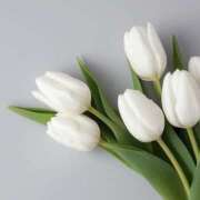 ヒメ日記 2025/08/05 13:06 投稿 えるま 全裸のいいなり美女OR満員ちかん電車