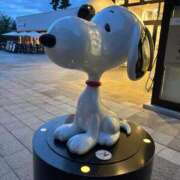 ヒメ日記 2025/10/06 15:57 投稿 えるま 全裸のいいなり美女OR満員ちかん電車