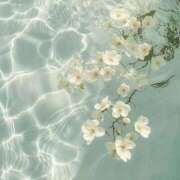 ヒメ日記 2025/11/01 12:57 投稿 えるま 全裸のいいなり美女OR満員ちかん電車