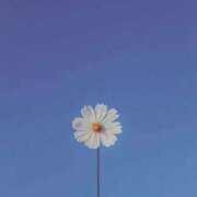 ヒメ日記 2025/11/18 13:17 投稿 えるま 全裸のいいなり美女OR満員ちかん電車