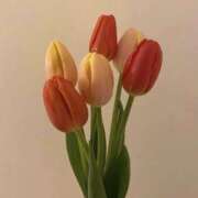 ヒメ日記 2025/11/21 12:57 投稿 えるま 全裸のいいなり美女OR満員ちかん電車