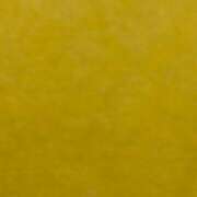 ヒメ日記 2025/06/23 07:01 投稿 みなみ しゅうかつ倶楽部