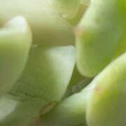 ヒメ日記 2025/06/24 04:08 投稿 みなみ しゅうかつ倶楽部