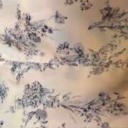 ヒメ日記 2025/06/24 17:37 投稿 みなみ しゅうかつ倶楽部