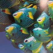 ヒメ日記 2025/07/03 17:59 投稿 みなみ しゅうかつ倶楽部