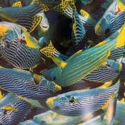 ヒメ日記 2025/07/03 18:03 投稿 みなみ しゅうかつ倶楽部