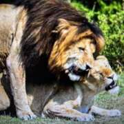 ヒメ日記 2025/07/05 06:30 投稿 みなみ しゅうかつ倶楽部