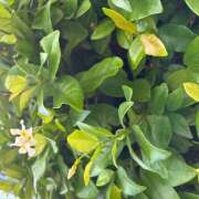 ヒメ日記 2025/07/10 10:52 投稿 みなみ しゅうかつ倶楽部