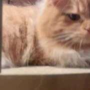 ヒメ日記 2025/09/03 07:38 投稿 らな ノーパンエステ!?絶頂させる天使たち