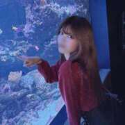 ヒメ日記 2025/09/30 18:51 投稿 らな ノーパンエステ!?絶頂させる天使たち