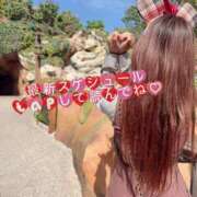 ヒメ日記 2025/10/12 23:38 投稿 らな ノーパンエステ!?絶頂させる天使たち