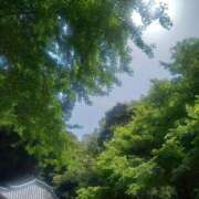 ヒメ日記 2025/06/22 17:44 投稿 小杉ちなつ 人妻百花