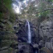 ヒメ日記 2025/06/30 21:55 投稿 小杉ちなつ 人妻百花