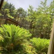 ヒメ日記 2025/08/26 07:15 投稿 小杉ちなつ 人妻百花